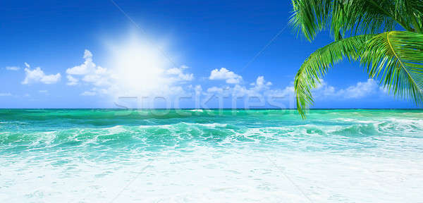 Сток-фото: красивой · пляж · панорамный · морем · мнение · чистой · воды