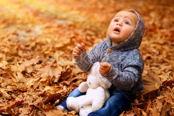 Little boy in autumn forest Stock photo © Anna_Om
