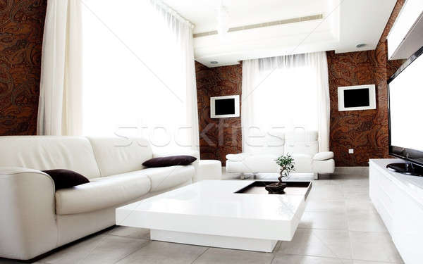 Luksusowe apartamentu elegancki nowoczesne wystrój wnętrz domu Zdjęcia stock © Anna_Om