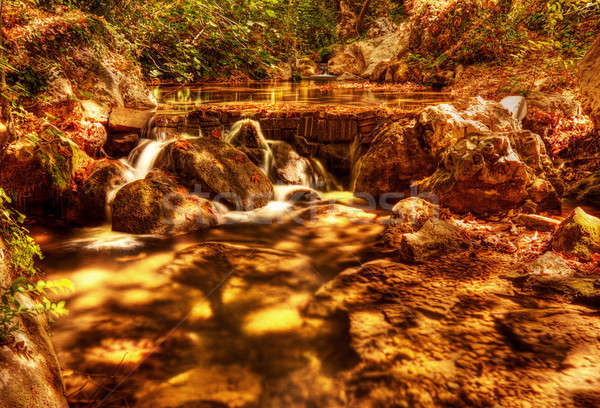 Piękna wodospad lasu wspaniały widoku kaskada Zdjęcia stock © Anna_Om