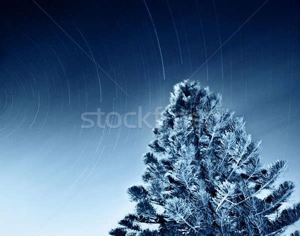 Cielo notturno cadere stelle tiro buio spazio Foto d'archivio © Anna_Om