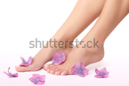Gyönyörű lábak kicsi lila virágok izolált Stock fotó © Anna_Om