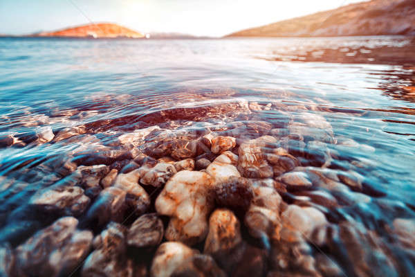 Beauty of underwater nature Stock photo © Anna_Om