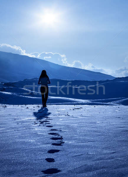 Einsamen Frau Bild Silhouette Winter Berge Stock foto © Anna_Om