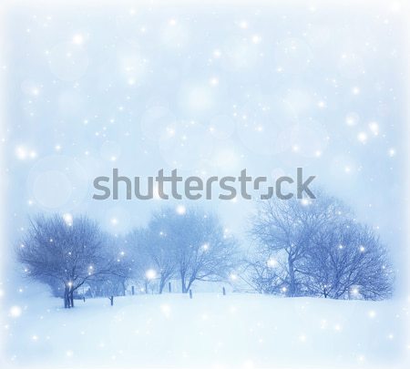 Tájkép fotó gyönyörű karácsony képeslap hó Stock fotó © Anna_Om