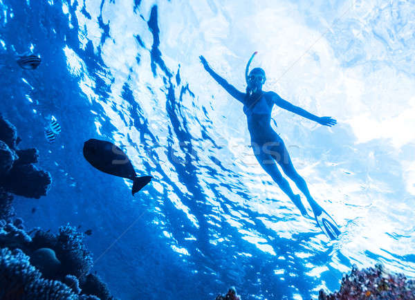 活躍 女子 跳水 海 享受 商業照片 © Anna_Om