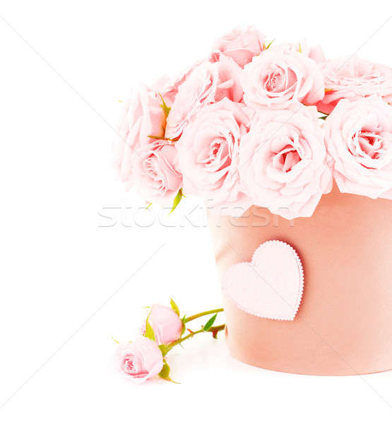 Imagine de stoc: Oală · roz · trandafiri · proaspăt · frumos · flori