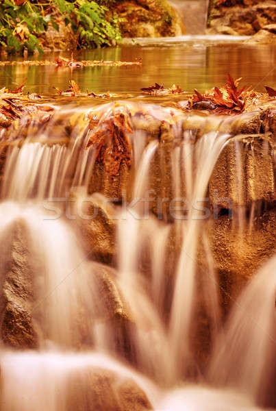 Gyönyörű kicsi vízesés erdő őszi idény természetes Stock fotó © Anna_Om