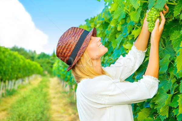Woman pluck grape Stock photo © Anna_Om