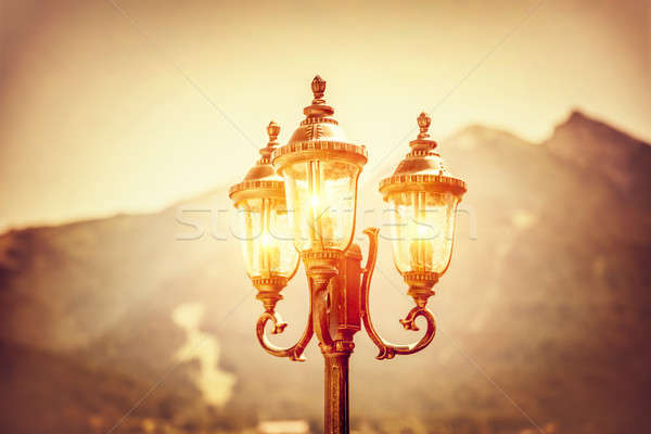 Beautiful vintage street lamp Stock photo © Anna_Om