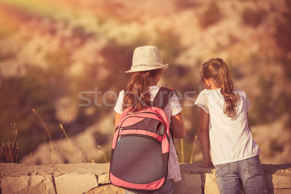 Kinderen genieten wandelen zomerkamp twee Stockfoto © Anna_Om