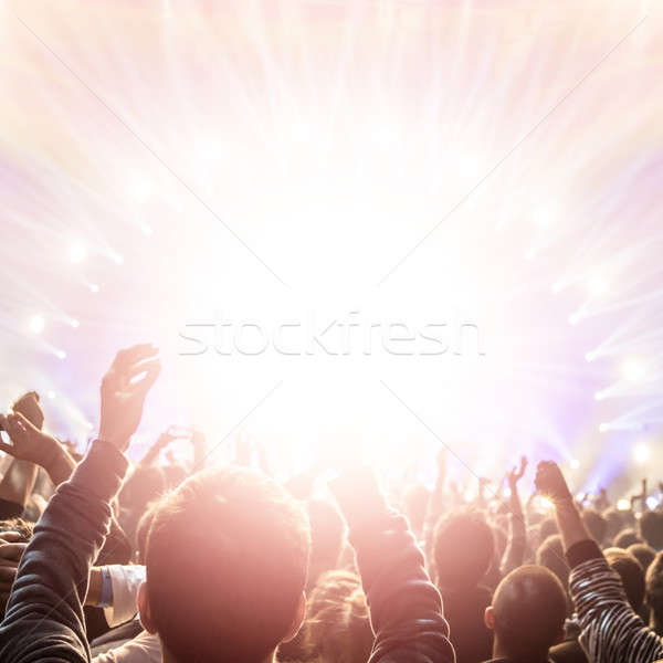 Rock concert Stock photo © Anna_Om