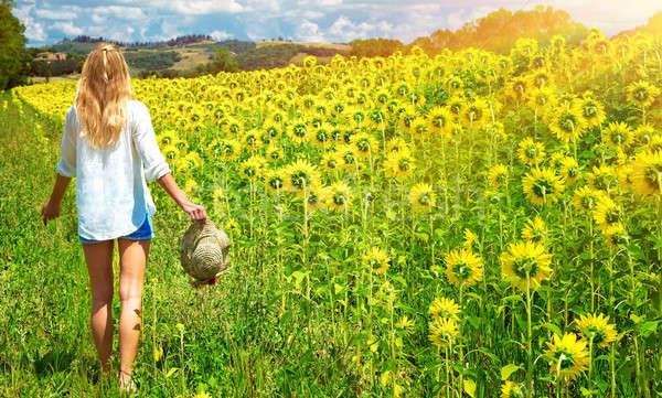 Stockfoto: Lopen · zonnebloemen · veld · gelukkig · jonge · vrouw · vers