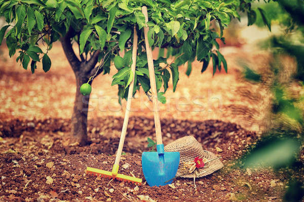 Frutta giardino lavoro necessario strumenti suolo Foto d'archivio © Anna_Om