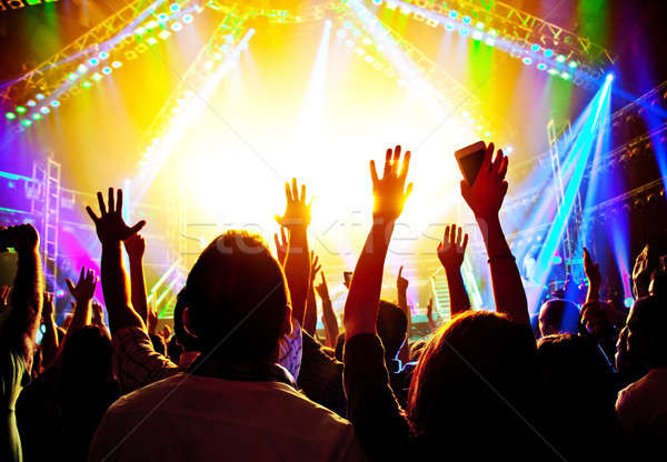 Rock concert gelukkige mensen silhouetten omhoog handen Stockfoto © Anna_Om