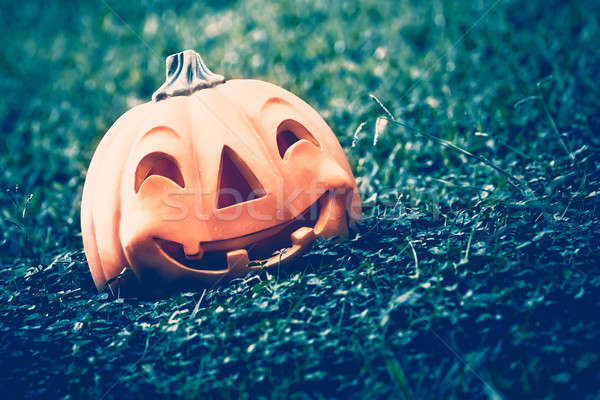 Festive Halloween pumpkin Stock photo © Anna_Om