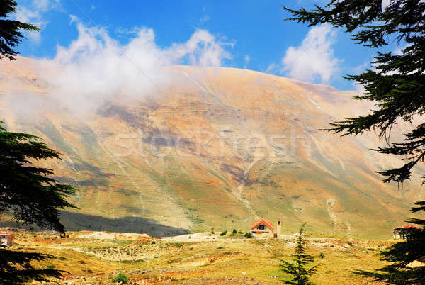 Beautiful mountains landscape  Stock photo © Anna_Om