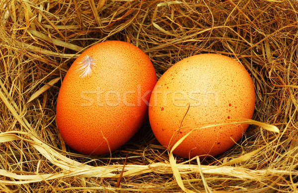 Stock photo: Two golden eggs