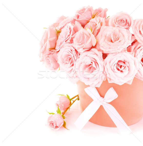Oală roz trandafiri proaspăt frumos flori Imagine de stoc © Anna_Om