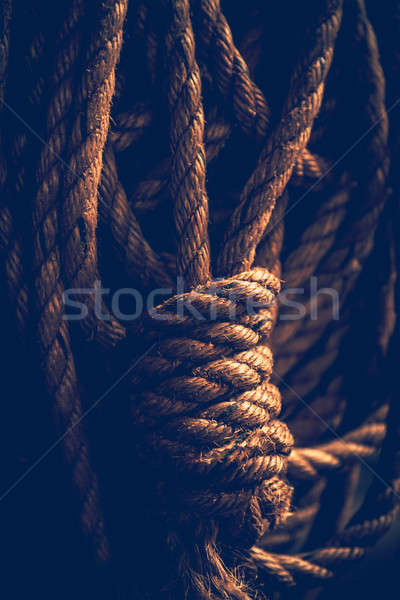 Vintage rope Stock photo © Anna_Om