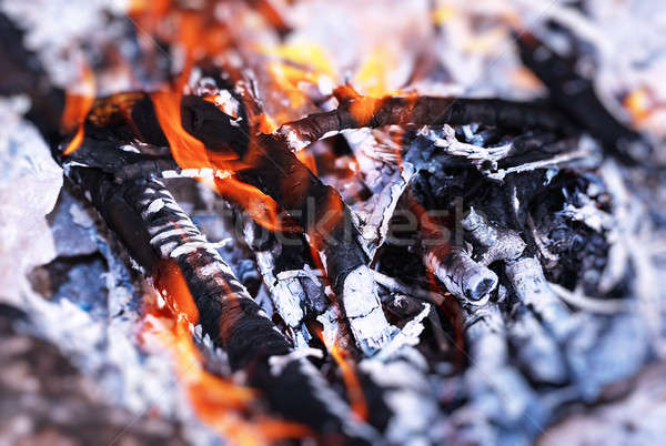 Mooie brandend vreugdevuur kamp houtskool barbecue Stockfoto © Anna_Om