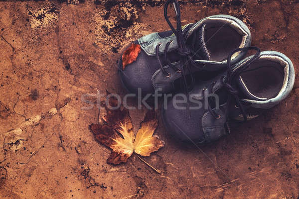 Autumn season concept Stock photo © Anna_Om