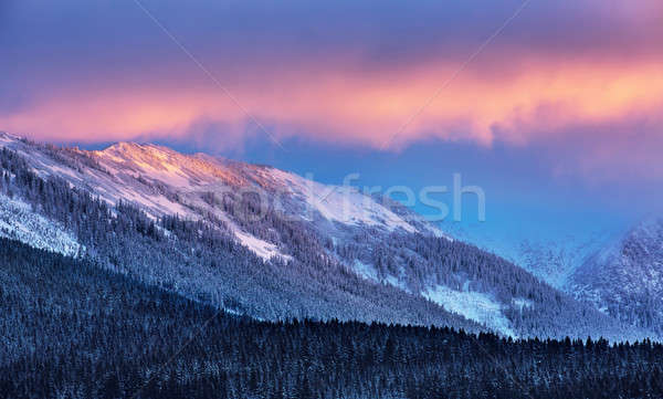Asombroso invierno paisaje hermosa alto alpino Foto stock © Anna_Om