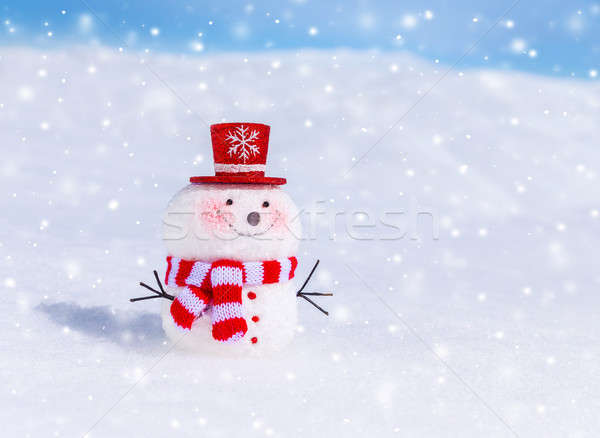 Bonitinho boneco de neve ao ar livre tempo tradicional inverno Foto stock © Anna_Om