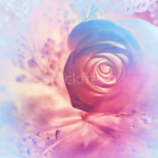 álomszerű rózsa absztrakt rózsaszín lila virágmintás Stock fotó © Anna_Om