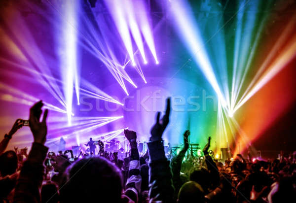 Party glücklich Jugendlichen rock Konzert Stock foto © Anna_Om