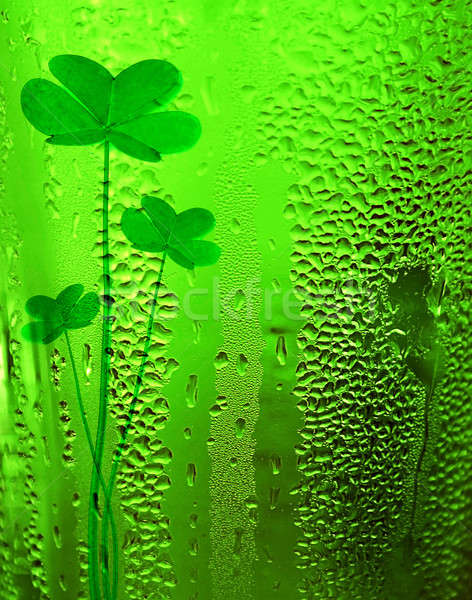 Green clover lucky beer background Stock photo © Anna_Om