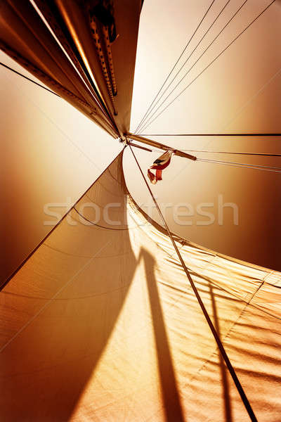 Stock photo: Sails in sunset light