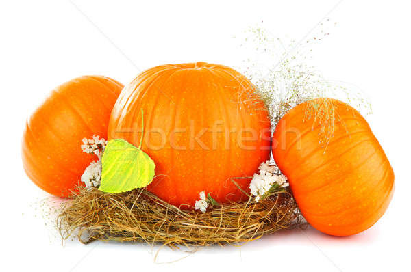 Thanksgiving holiday greeting card Stock photo © Anna_Om