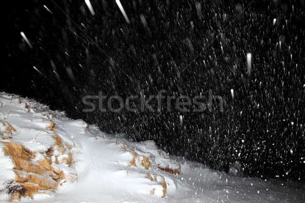 Nuit chutes de neige belle hiver paysage nature [[stock_photo]] © Anna_Om