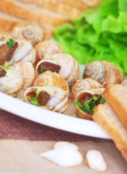 Tasty escargot dish Stock photo © Anna_Om