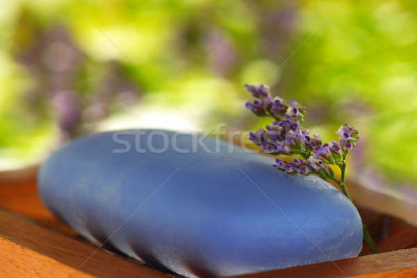 Szappan pici virág virágok egészségügy orvosi Stock fotó © Anna_Om