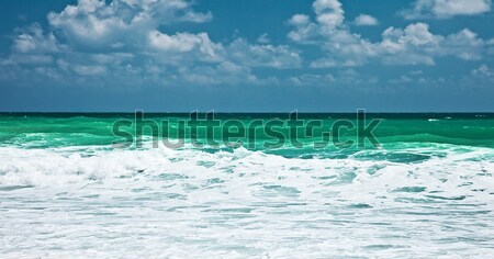 Panoramic sea landscape  Stock photo © Anna_Om