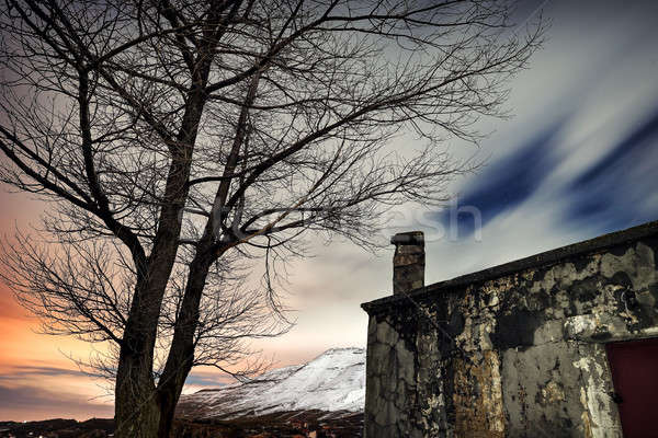 Foto stock: Noite · inverno · paisagem · velho · abandonado · casa