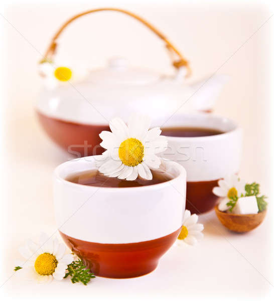 Kamille thee beker daisy bloem Stockfoto © Anna_Om