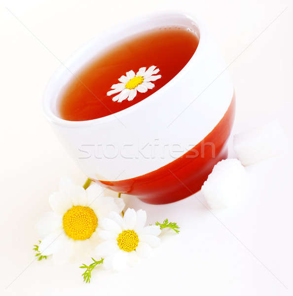 Camomila chá copo flor isolado Foto stock © Anna_Om