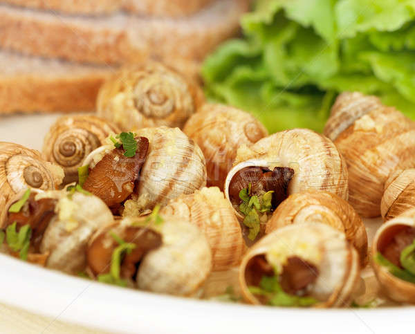 Escargot Stock photo © Anna_Om