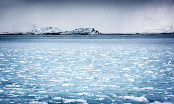 заморожены реке пейзаж красивой панорамный мнение Сток-фото © Anna_Om