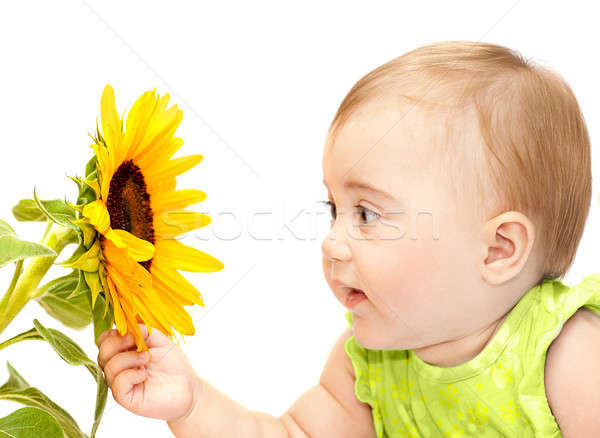 Baby girl exploring flower Stock photo © Anna_Om