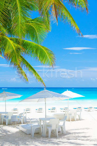 Luxury beach cafe Stock photo © Anna_Om