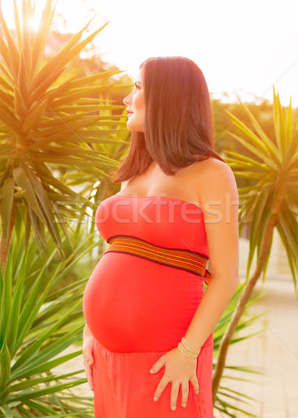 Stockfoto: Gezonde · zwangere · vrouw · buitenshuis · tijd · tropische · park