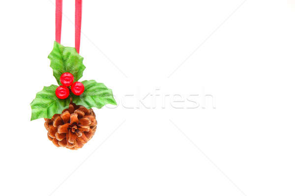 Holly berry and pine cone Stock photo © Anna_Om