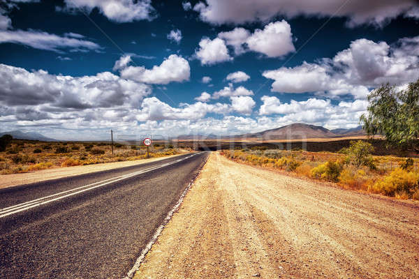 Freeway in the wild area Stock photo © Anna_Om