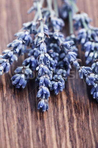 Stock foto: Lavendel · Blumen · isoliert · Holz · schönen · lila