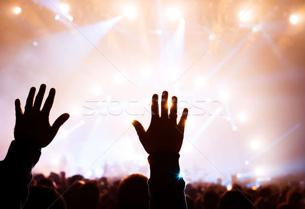 Musikalische Konzert Silhouette Mann Hände angehoben Stock foto © Anna_Om