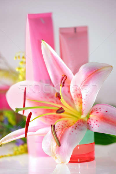 Fresh pink lily and cream Stock photo © Anna_Om